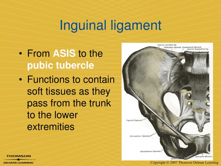 PPT - OA 1.13 PowerPoint Presentation - ID:1898401