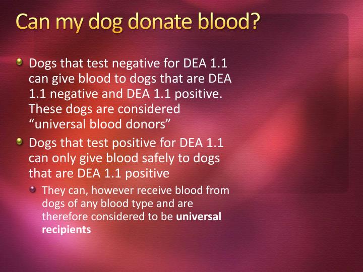 PPT Canine & Feline Blood Transfusions PowerPoint