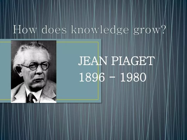 Jean Piaget Essay