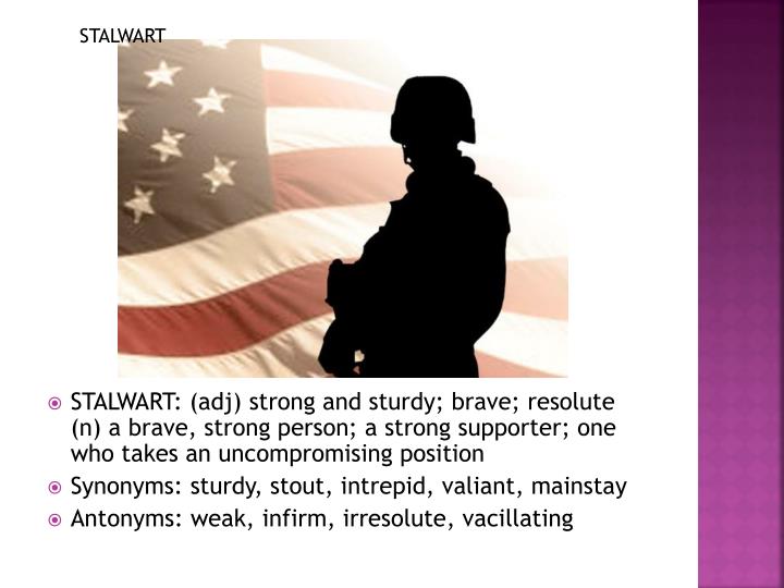 someone who is brave synonym someone who is brave synonym