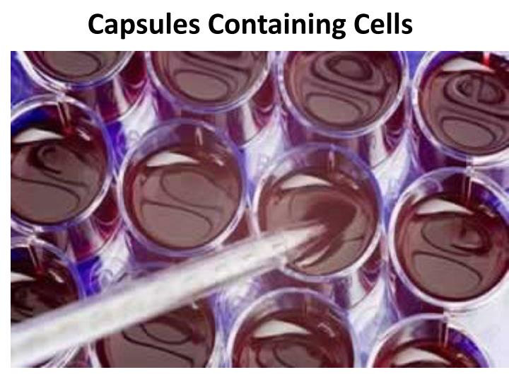 PPT - Future Pharmaceutical Sciences and Recent Advancement of Medical