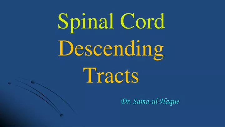 descending tracts of spinal cord ppt