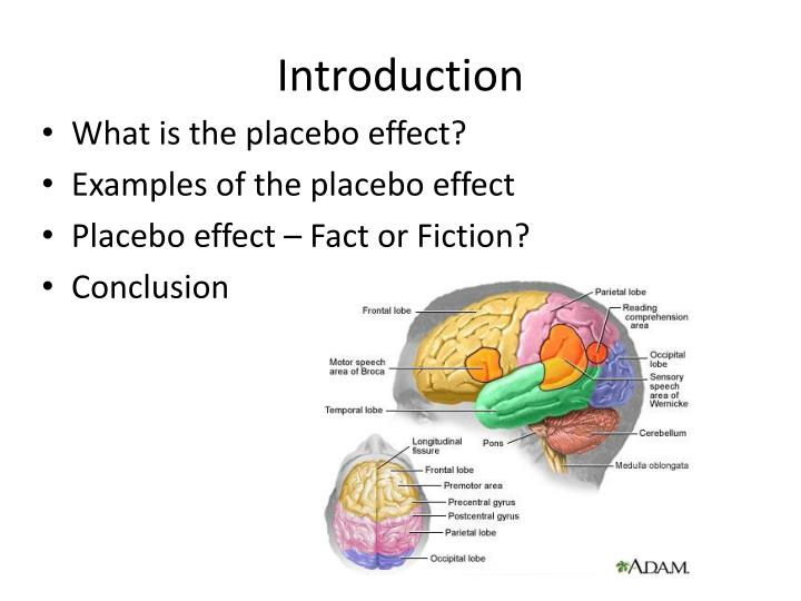 an introduction to the analysis of the placebo effect The 'placebo effect' is nominally where fake medicines have real effects there is also a whole lot more to know about this. an introduction to the analysis of the placebo effect The 'placebo effect' is nominally where fake medicines have real effects there is also a whole lot more to know about this.