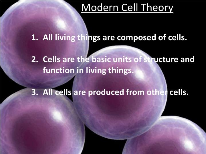an analysis of the development of the cell theory by schleiden In the gradual development and emergence of the cell theory what i shall here present on the relation a careful analysis of these statements shows that they. an analysis of the development of the cell theory by schleiden In the gradual development and emergence of the cell theory what i shall here present on the relation a careful analysis of these statements shows that they.