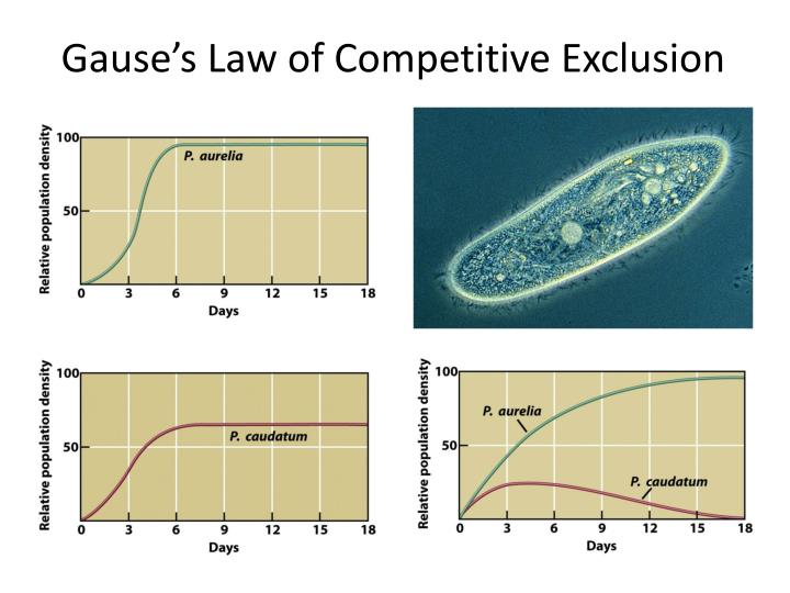 PPT - Lecture 5.4 ( Ch 6) Competition, Symbiosis, Keystone Species ...