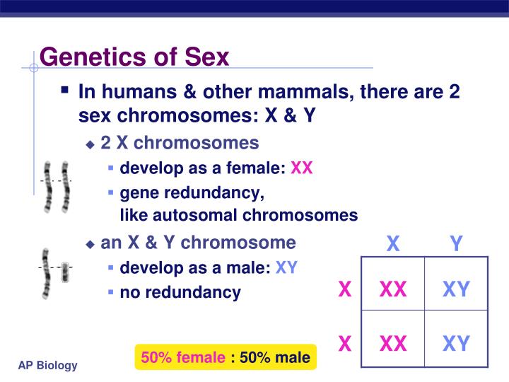 Ppt Beyond Mendels Laws Of Inheritance Powerpoint Presentation Id