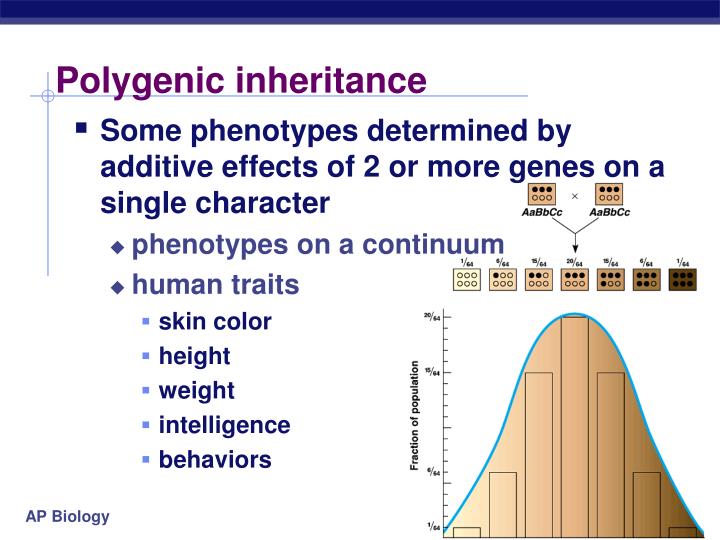 Ppt Beyond Mendels Laws Of Inheritance Powerpoint Presentation Id 4338