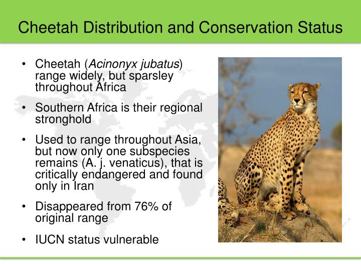 PPT WALLACE RESOURCE LIBRARY Lecture 08 Predators of South Africa