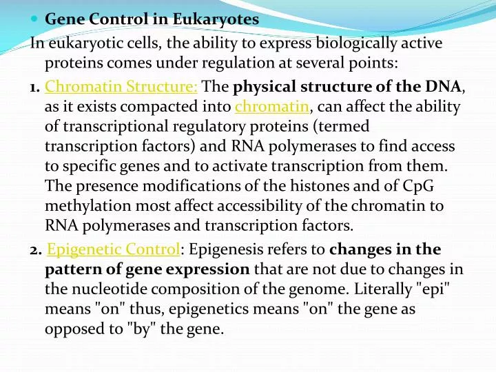 ap biology transcription and translation essay Regulation of gene expression prokaryotes eukaryotes in prokaryotes, transcription and translation happen simultaneously (they are coupled) prokaryotes regulate gene expression (and therefore their metabolism) almost entirely by regulating transcription. ap biology transcription and translation essay Regulation of gene expression prokaryotes eukaryotes in prokaryotes, transcription and translation happen simultaneously (they are coupled) prokaryotes regulate gene expression (and therefore their metabolism) almost entirely by regulating transcription.