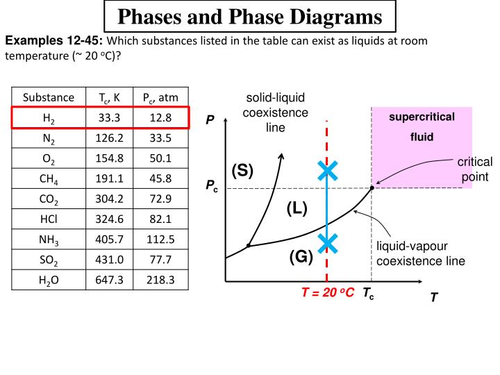 flowchart chapter 8 photosynthesis graphic organizer answers flowchart photosynthesis create a flowchart flowchart chapter 8 photosynthesis graphic organizer answers flowchart photosynthesis create a flowchart