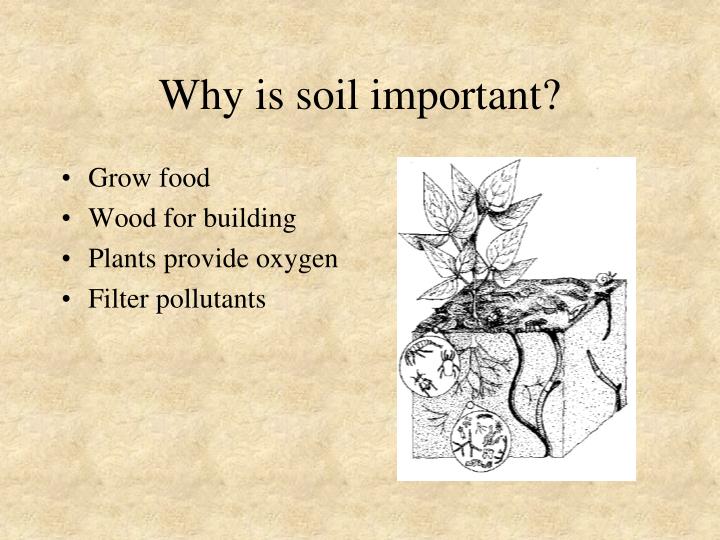 PPT SOIL PowerPoint Presentation ID1951676