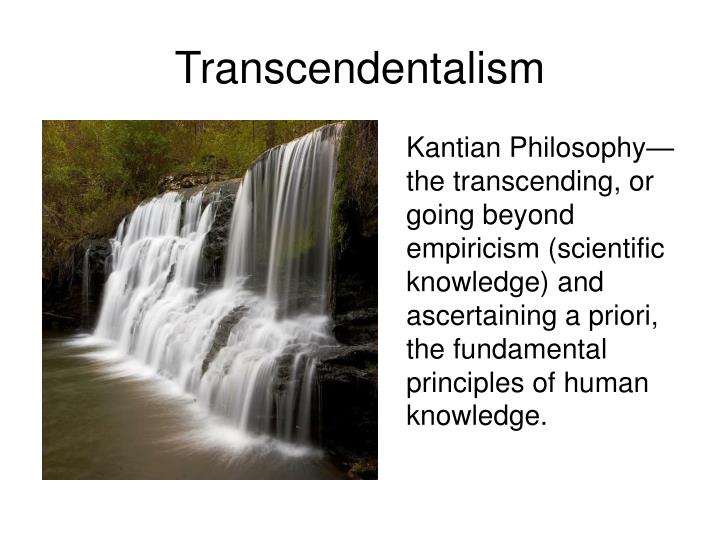 evaluate the extent to which freud’s The human id and american gothic: evaluating freud’s societies have the power of reshaping the human being’s instinct to the extent that personal happiness is. evaluate the extent to which freud’s The human id and american gothic: evaluating freud’s societies have the power of reshaping the human being’s instinct to the extent that personal happiness is.