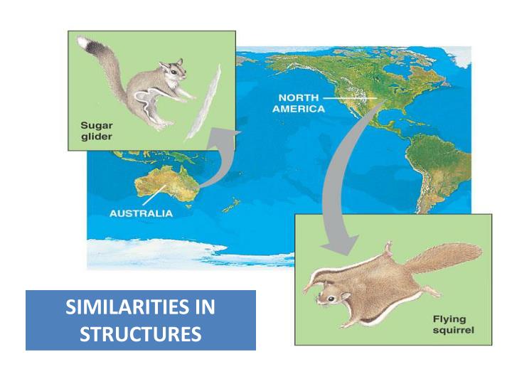 Why Does Natural Selection Lead To Evolution Why Does Natural Selection Lead To Evolution