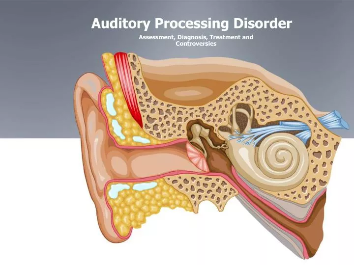 auditory processing disorder adults