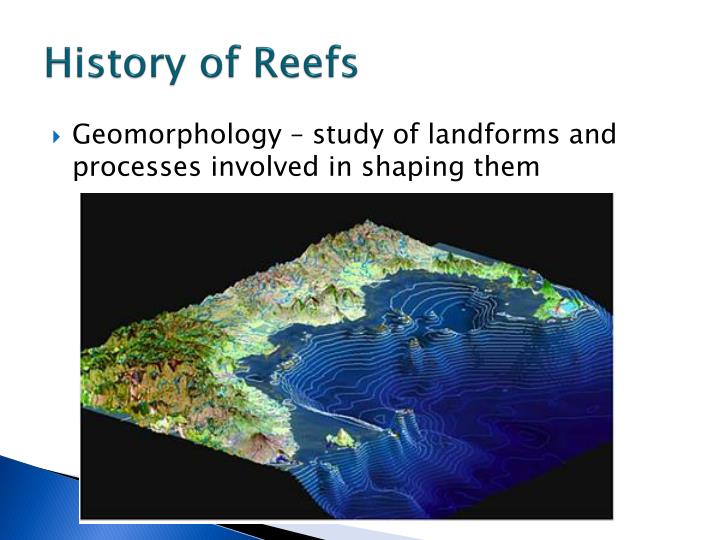 from Casey how can carbon dating be used to reconstruct the history of a coral reef girls get fucked in car porn