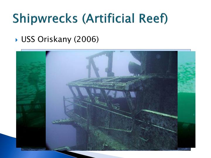 from Brodie how can carbon dating be used to reconstruct the history of a coral reef nude life like sex doll