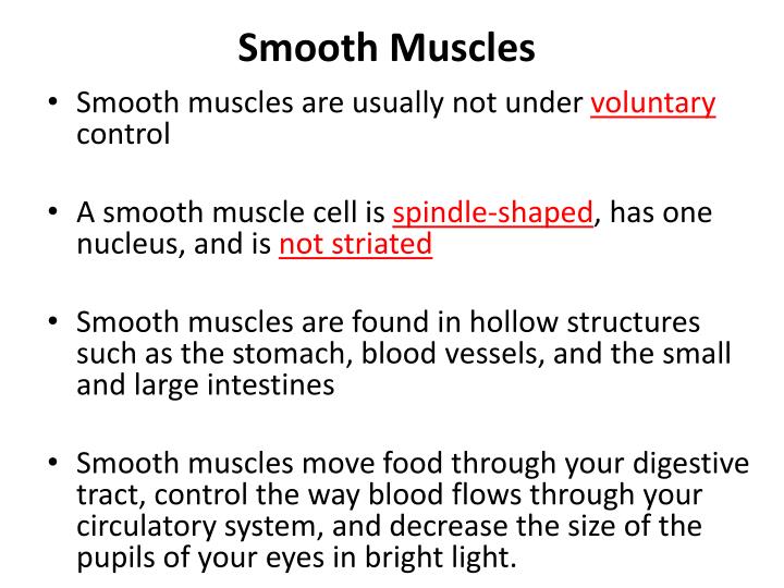ppt skeletal muscular integumentary systems light microscope ppt presentation