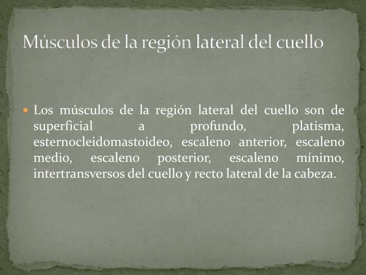 Por que puede ser el dolor en los riñones en el lado derecho a las muchachas