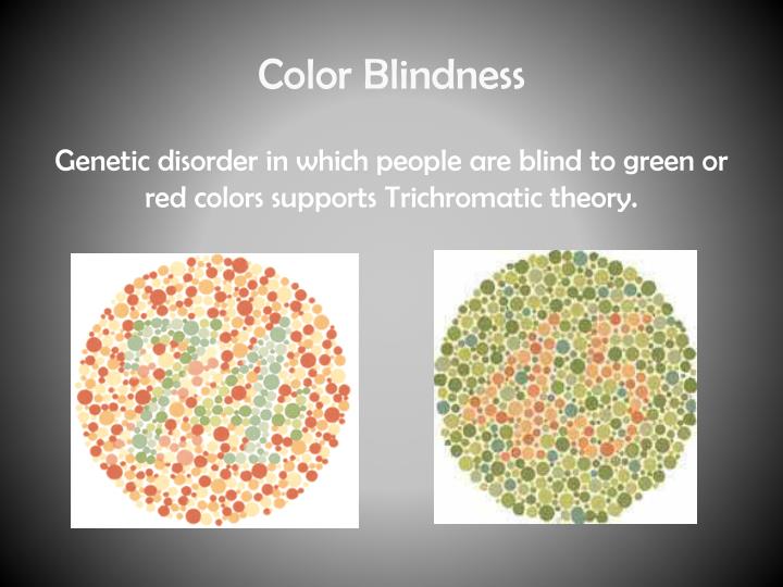 an introduction to color blindness genetic disorder Color blindness means your eye doesn't see color the way it should your eyes see differences in the light that comes in it’s a bit like the way we hear sounds as being low or high. an introduction to color blindness genetic disorder Color blindness means your eye doesn't see color the way it should your eyes see differences in the light that comes in it’s a bit like the way we hear sounds as being low or high.