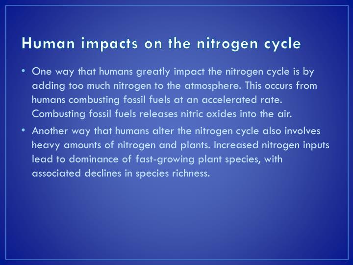 11 What Are Two Ways That Humans Impact The Nitrogen And Phosphorus Cycles