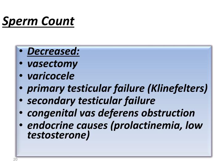 Sperm count slide Sperm count slide