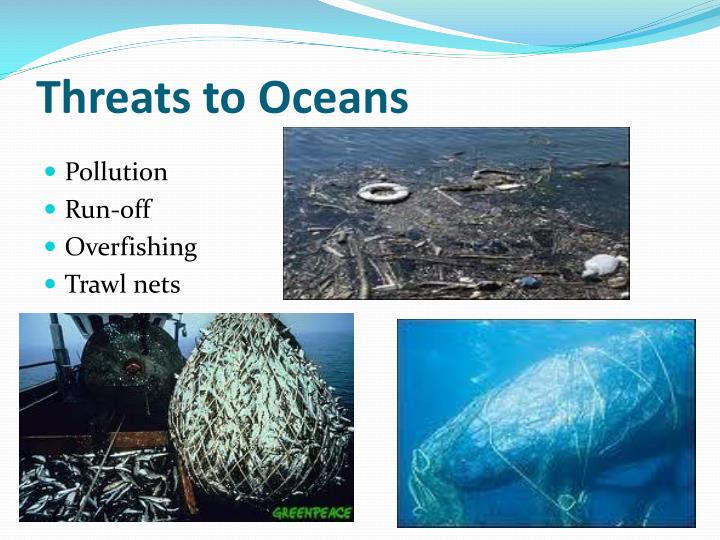 PPT - Aquatic Ecosystems PowerPoint Presentation - ID:1996487