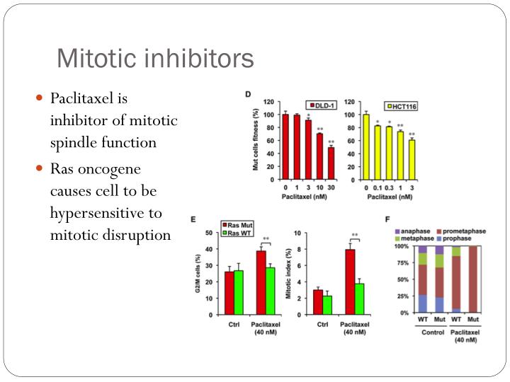 wide RNAi Screen Identifies Multiple Synthetic Lethal ... Biology Diagrams