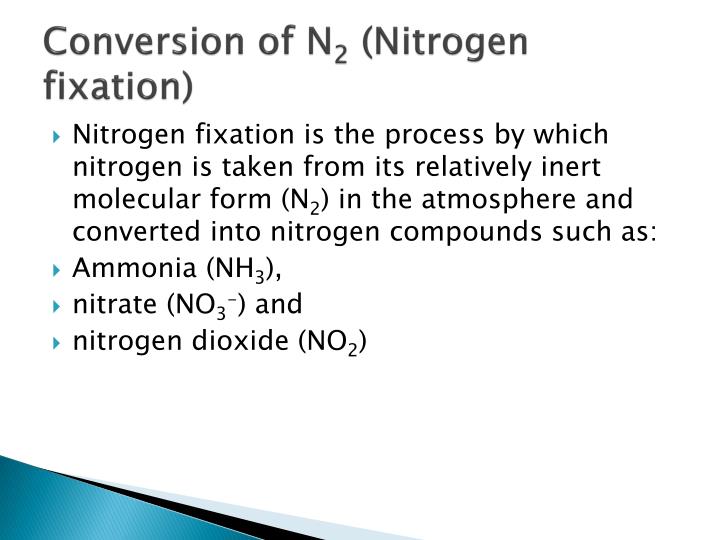 PPT Nitrogen Cycle PowerPoint Presentation ID2002080