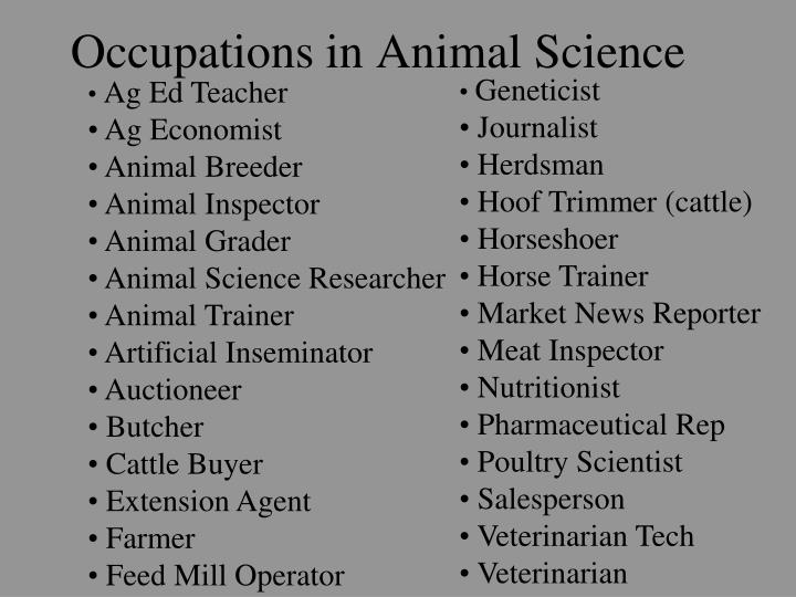 Jobs for animal science majors