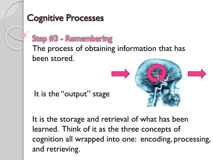 perception definition health perception definition health