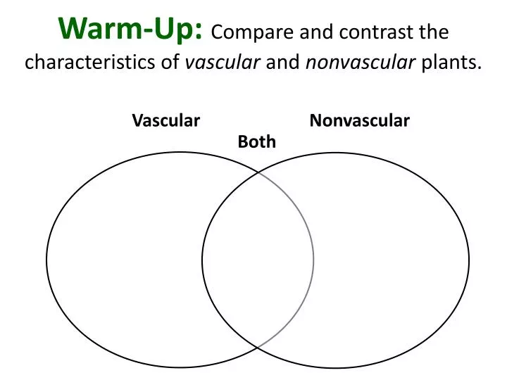 PPT WarmUp Compare and contrast the characteristics of