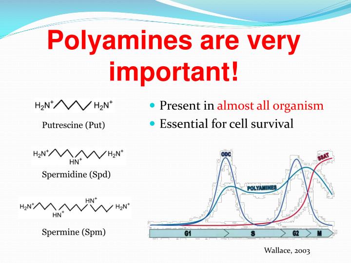 download protein engineering