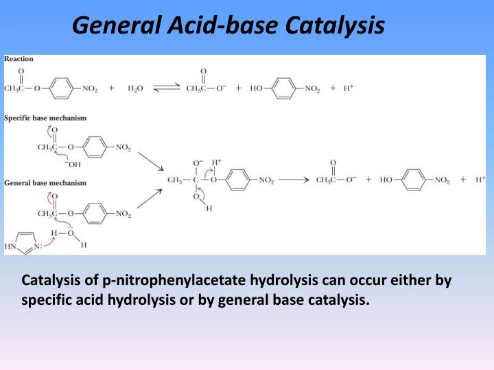 ppt-mechanisms-of-enzyme-action-powerpoint-presentation-id-2019809