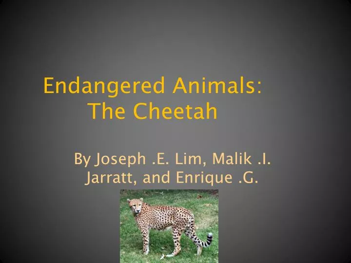 endangered and extinct animals essay endangered and extinct animals essay