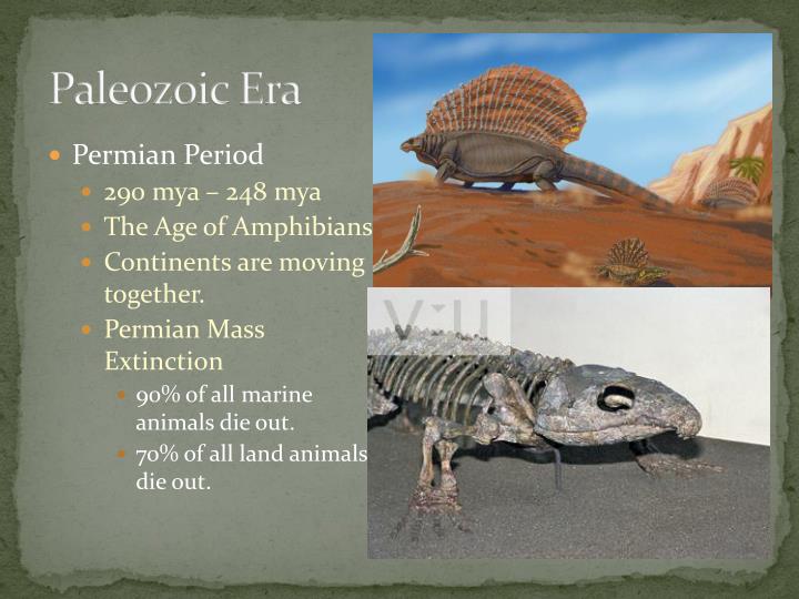 permian period mass extinction essay Absence of evidence, or evidence of absence a paper on animal consciousness mass extinction and climate change theories of mass extinction censorship: gradual loss of freedoms promised in the constitution mass media and adolescence: how mass media influence teens in their sexual behavior the main function of religion is to provide. permian period mass extinction essay Absence of evidence, or evidence of absence a paper on animal consciousness mass extinction and climate change theories of mass extinction censorship: gradual loss of freedoms promised in the constitution mass media and adolescence: how mass media influence teens in their sexual behavior the main function of religion is to provide.