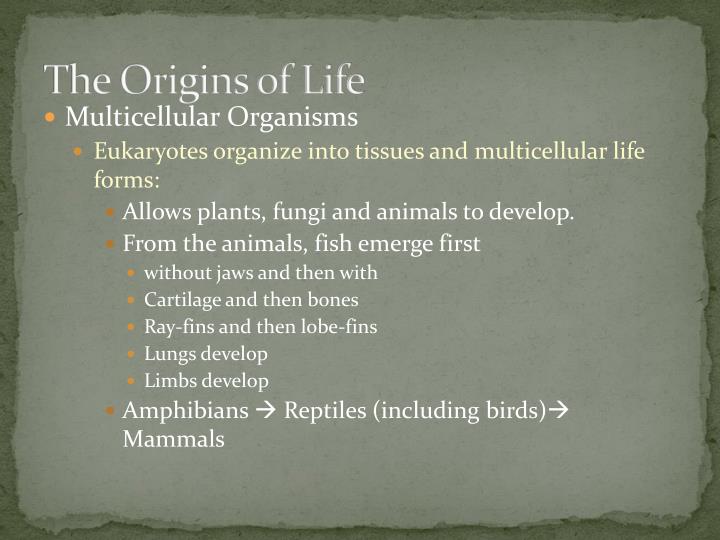 chemosynthesis origin life chemosynthesis origin life