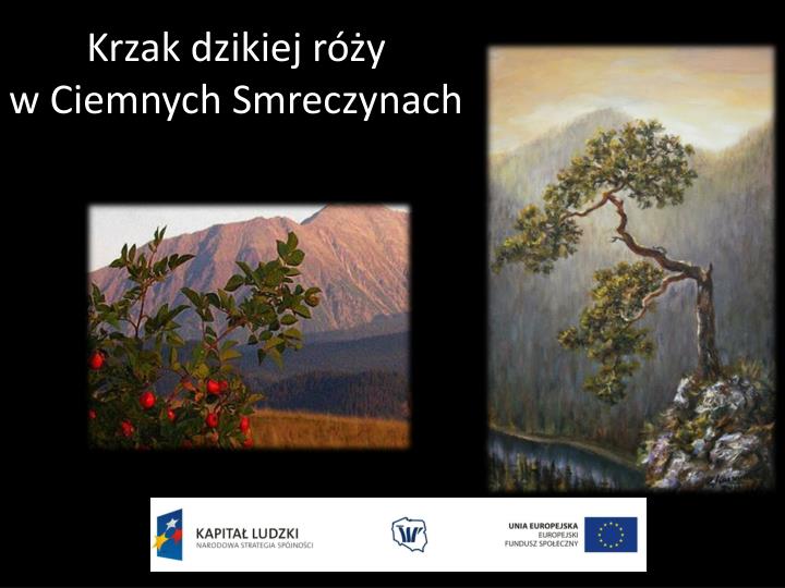 Krzak Dzikiej Róży W Ciemnych Smreczynach Interpretacja PPT - Pejzaż górski w ujęciu romantyków i modernistów. Porównaj ich