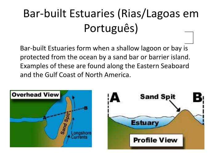 PPT Estuarine Dynamics. PowerPoint Presentation ID2035089