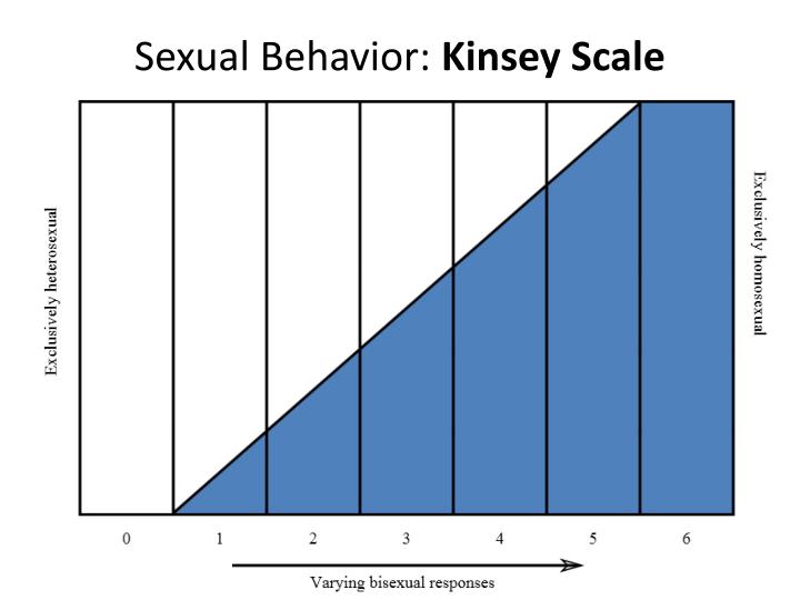 Sexuality Behavior 106