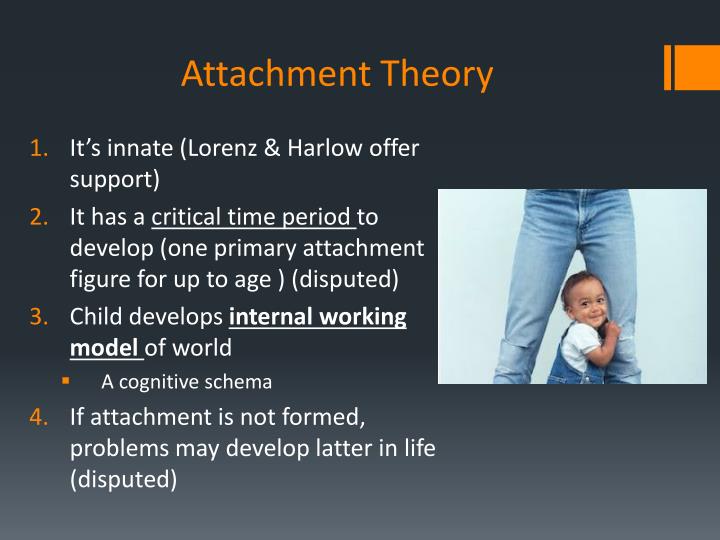 who is the primary attachment figure for an infant