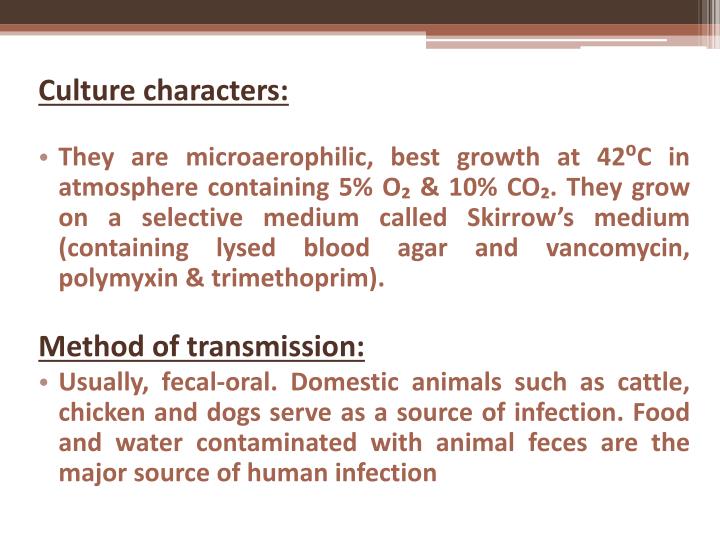 How do you write a citation in an essay picture 1