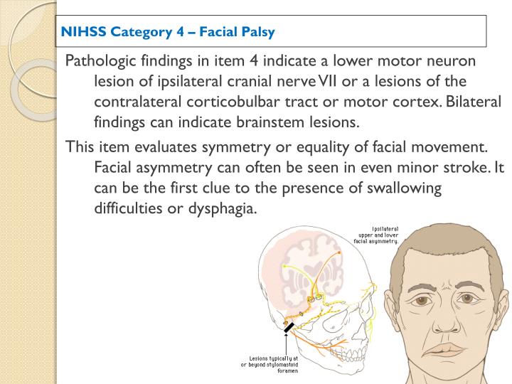 Nih crainial facial Nih crainial facial recommend you