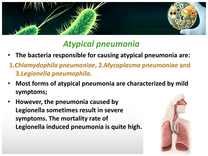 what-is-the-difference-between-typical-and-atypical-bacteria-pediaa-com