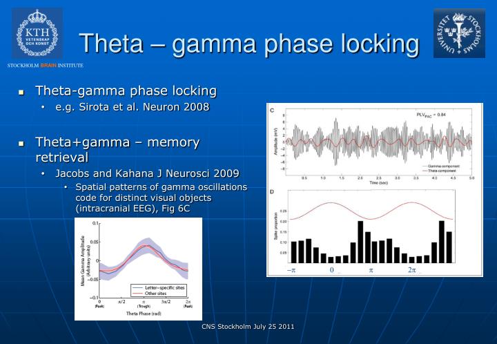 gamma control loop gamma control loop