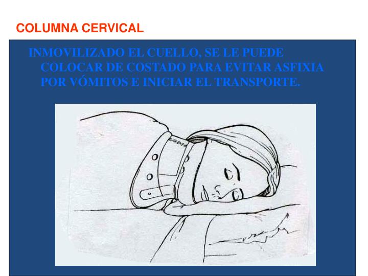 La crisis rompedora del departamento de pecho de la columna vertebral