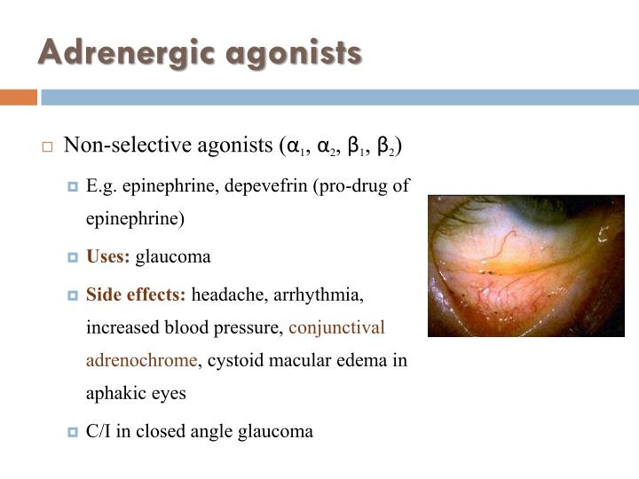 alpha 2 adrenergic agonist alpha 2 adrenergic agonist