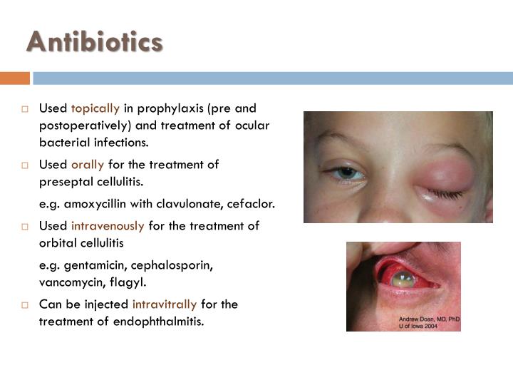 Cefaclor Ga Side Effects