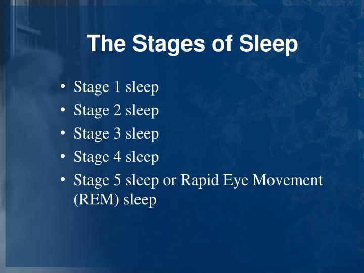 PPT - SLEEP AND DREAMS PowerPoint Presentation - ID:2080941