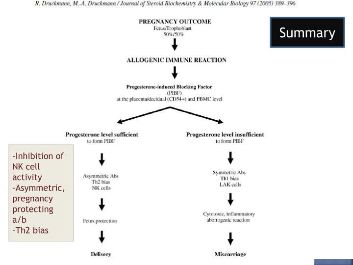 Dydrogesterone Pregnancy Category