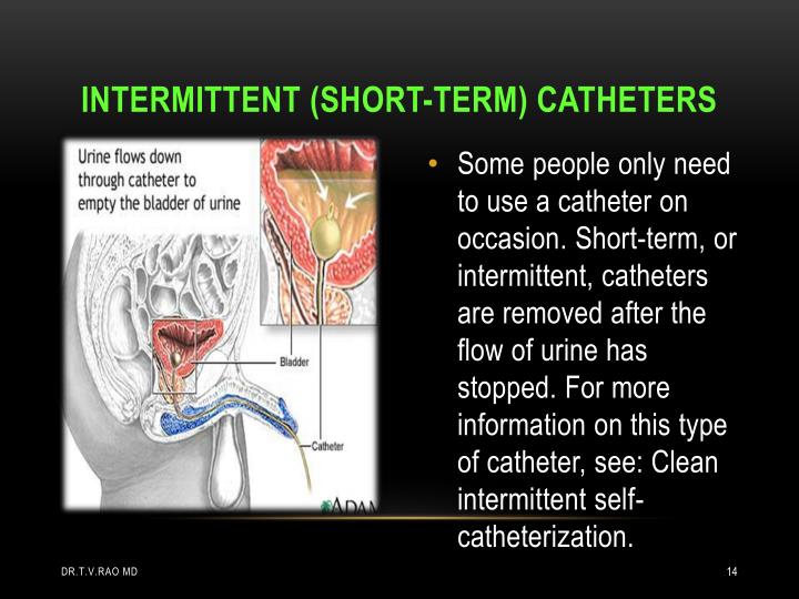 PPT Urinary catheter care skills in asepsis PowerPoint Presentation